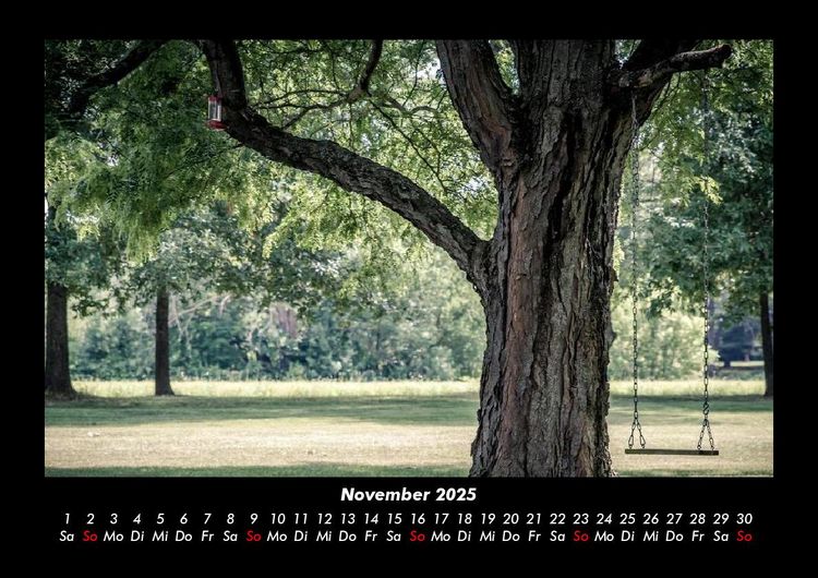 Produktbild: B&auml;ume 2025 Fotokalender DIN A3