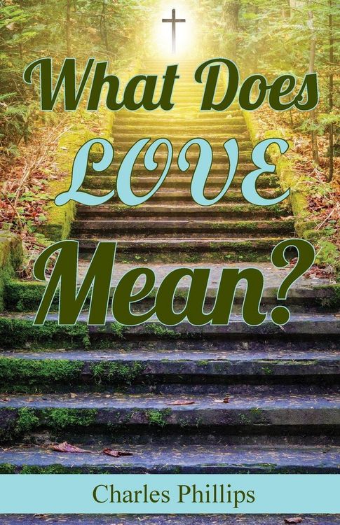 Produktbild: What Does Love Mean?