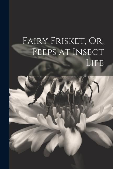 Produktbild: Fairy Frisket, Or, Peeps at Insect Life