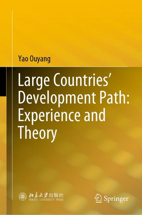 Produktbild: Large Countries' Development Path: Experience and Theory