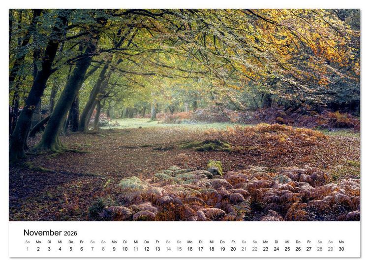 Produktbild: Magie der W&auml;lder Britanniens (Wandkalender 2026 DIN A4 quer), CALVENDO Monatskalender