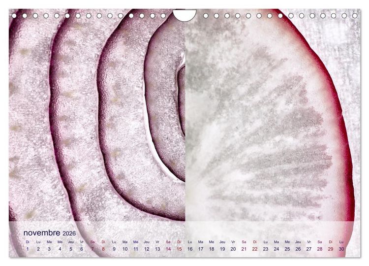Produktbild: C&oelig;ur de fruits c&oelig;ur de l&eacute;gumes (Calendrier mural 2026 DIN A4 vertical), CALVENDO calendrier mensuel