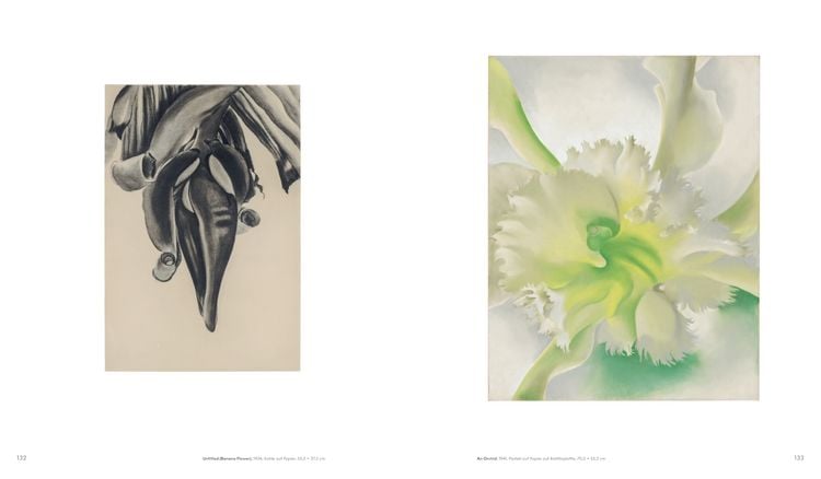 Produktbild: Georgia O'Keeffe