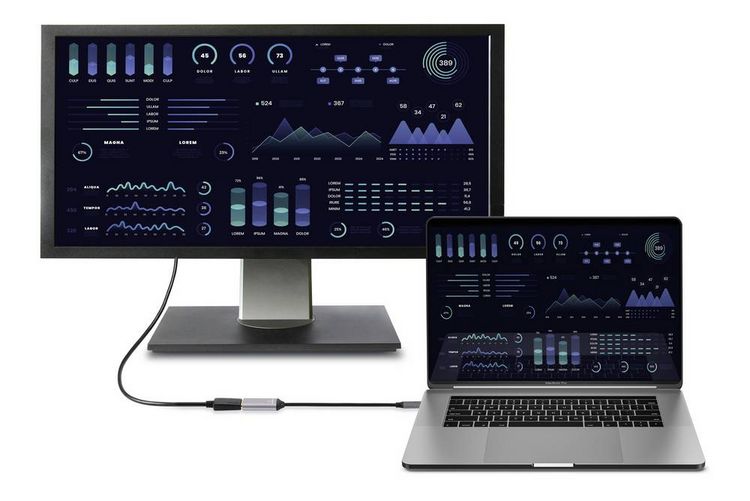 Produktbild: Renkforce USB-C&reg; / DisplayPort Adapterkabel USB-C&reg; Stecker, DisplayPort Buchse 0.15 m Schwarz RF-5397866 doppelt geschirmt USB-C&reg;-Displaykabel