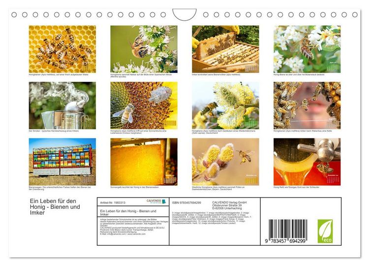Produktbild: Ein Leben f&uuml;r den Honig - Bienen und Imker (Wandkalender 2026 DIN A4 quer), CALVENDO Monatskalender