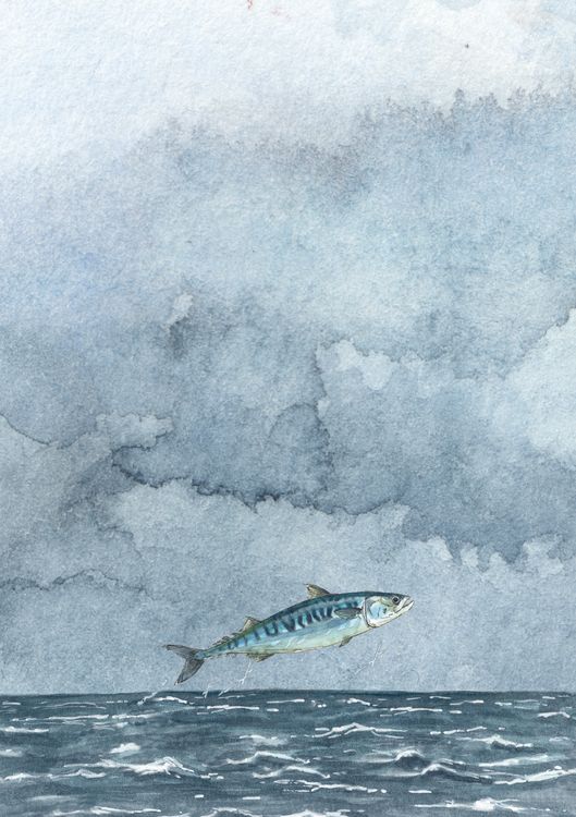 Produktbild: Jakobsons Nordsee