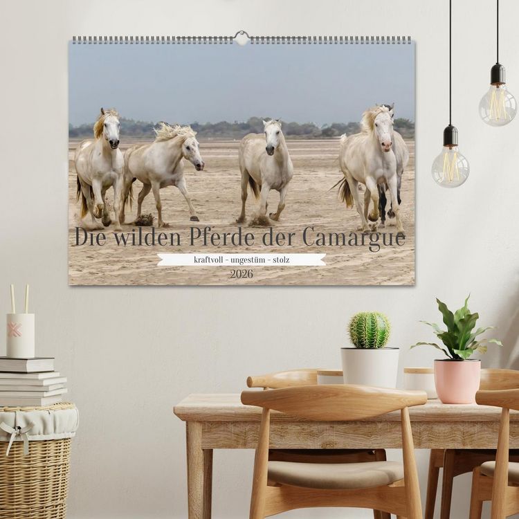 Produktbild: Die wilden Pferde der Camargue (Wandkalender 2026 DIN A2 quer), CALVENDO Monatskalender
