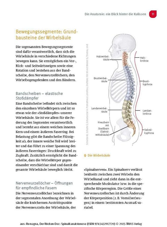 Produktbild: Der R&uuml;cken-Doc: Spinalkanalstenose