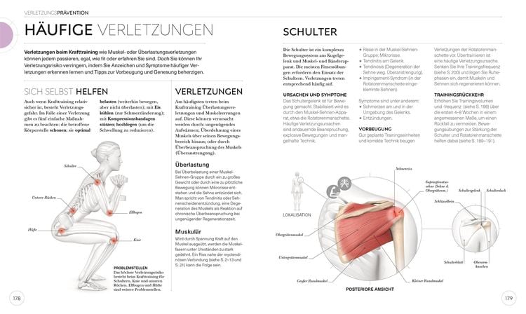 Krafttraining – Die Anatomie verstehen