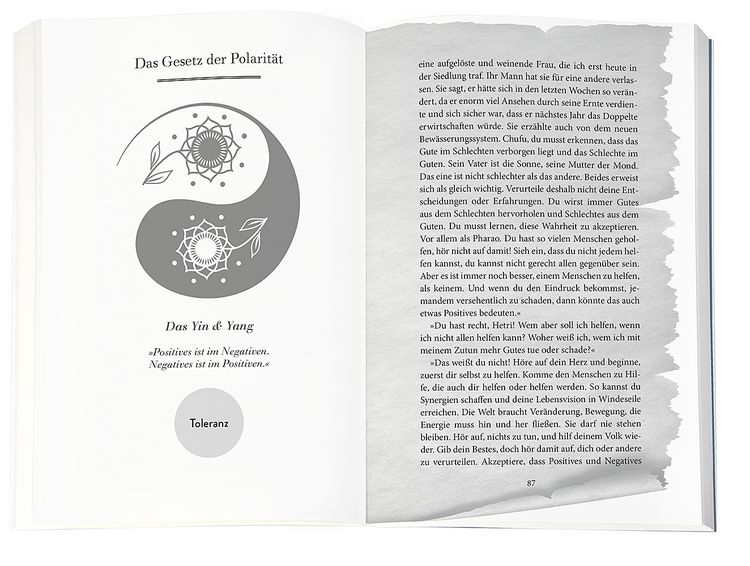 Produktbild: Higher Mind. Die Gesetze des Bewusstseins