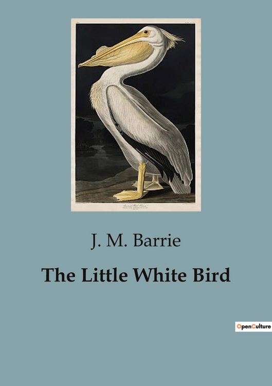 Produktbild: The Little White Bird