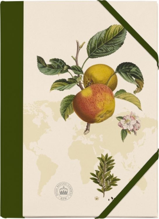 Produktbild: Kew Gardens Sammelmappe - Motiv Apfel