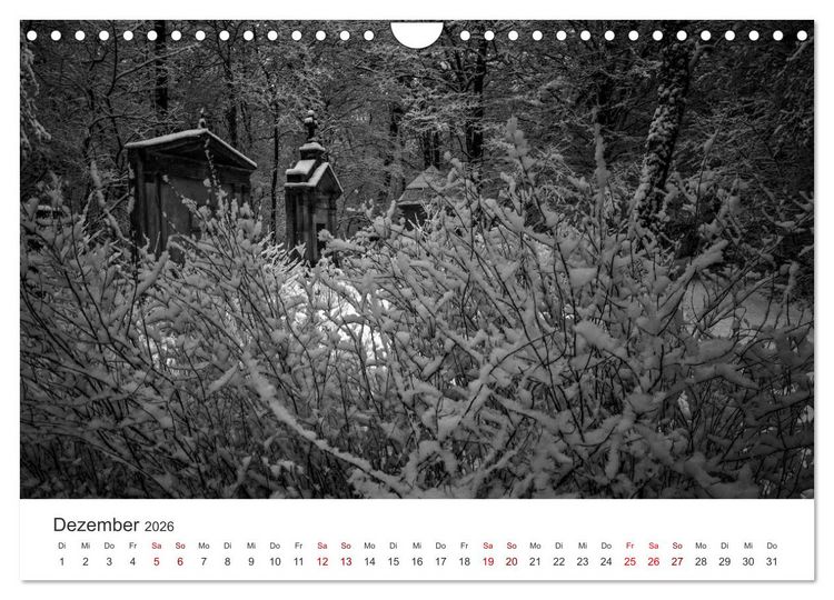 Produktbild: Wachgek&uuml;sst - Vom Zauber der Vergangenheit - S&uuml;dwestkirchhof Stahnsdorf (Wandkalender 2026 DIN A4 quer), CALVENDO Monatskalender