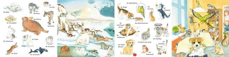 Produktbild: Mein kleines buntes Bildw&ouml;rterbuch: Viele Tierkinder