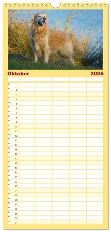 Produktbild: Familienplaner 2026 - Golden Retriever Power mit 5 Spalten (Wandkalender, 21 x 45 cm) CALVENDO