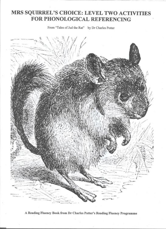 Produktbild: Mrs Squirrel's Choice: Level Two Activities for Phonological Referencing