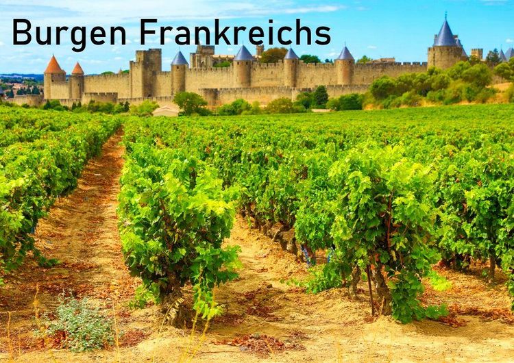 Produktbild: Burgen Frankreichs