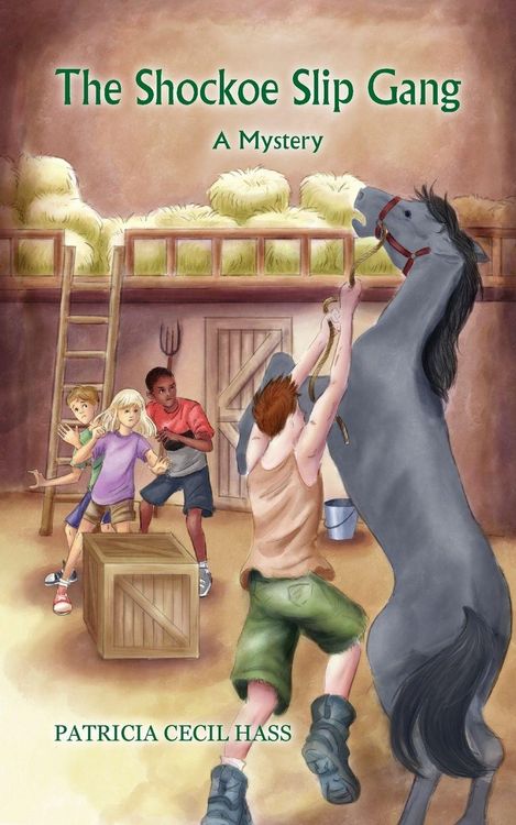 Produktbild: The Shockoe Slip Gang