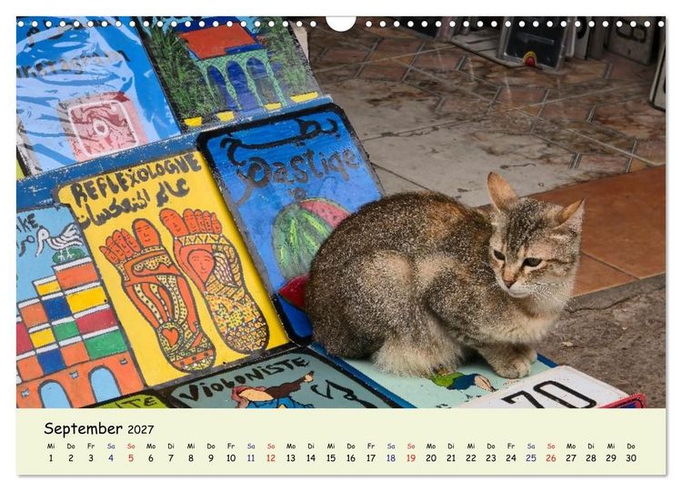 Produktbild: MarokkoCats (Wandkalender 2027 DIN A3 quer), CALVENDO Monatskalender
