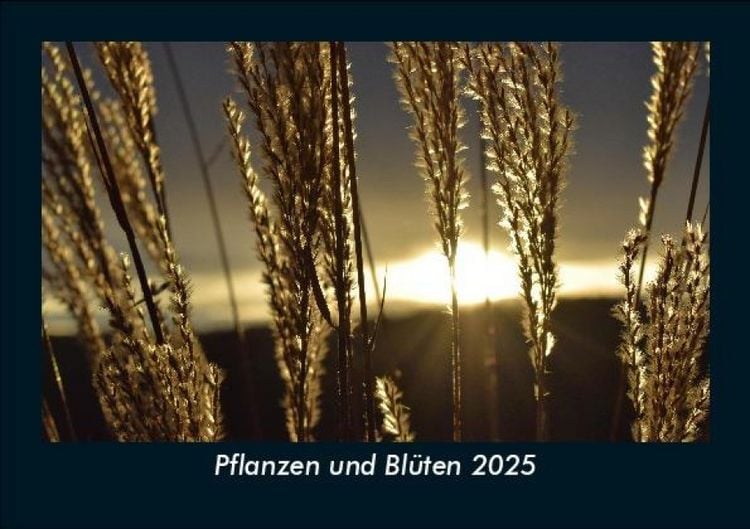 Produktbild: Pflanzen und Bl&uuml;ten 2025 Fotokalender DIN A5