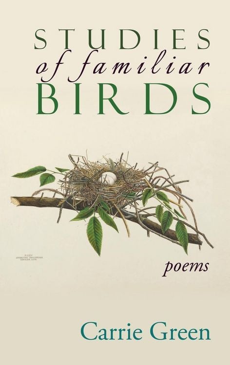 Produktbild: Studies of Familiar Birds