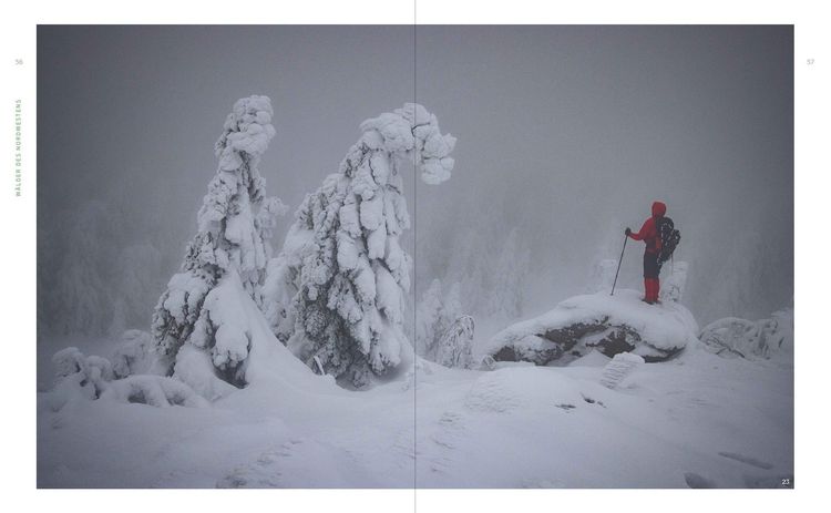 Produktbild: Wild Guide Deutsche W&auml;lder