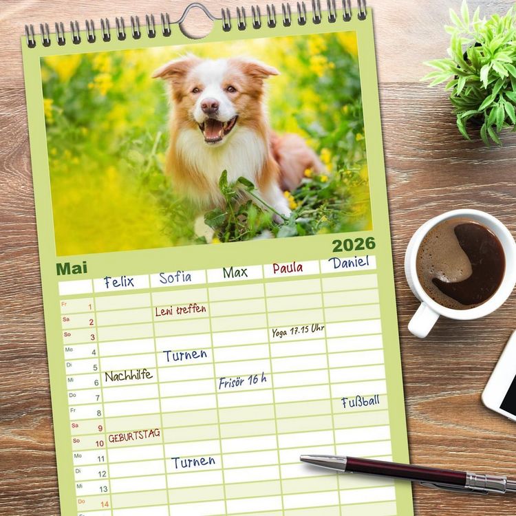 Produktbild: Familienplaner 2026 - Border Collies 2026 mit 5 Spalten (Wandkalender, 21 x 45 cm) CALVENDO
