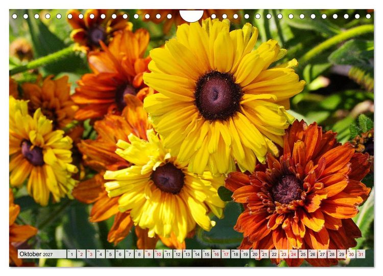 Produktbild: Blumen, bunt gemischt (Wandkalender 2027 DIN A4 quer), CALVENDO Monatskalender