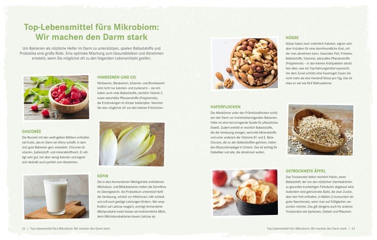 Produktbild: Die Ern&auml;hrungs-Docs  Gesund abnehmen mit der Darm-fit-Formel