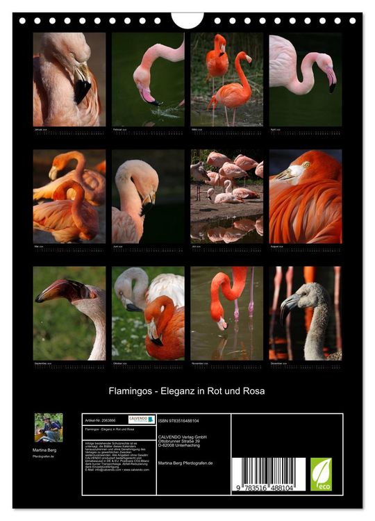 Produktbild: Flamingos - Eleganz in Rot und Rosa (Wandkalender 2026 DIN A4 hoch), CALVENDO Monatskalender