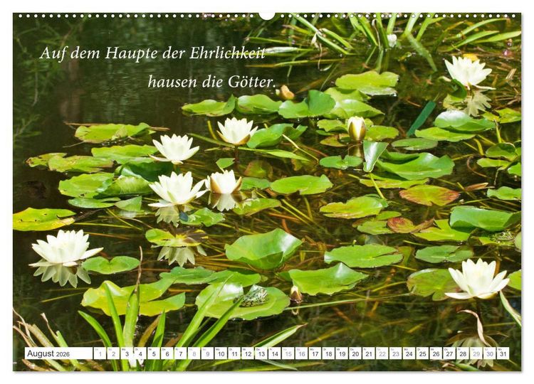 Produktbild: Stille. Japanische Gartenkunst und Weisheiten (hochwertiger Premium Wandkalender 2026 DIN A2 quer), Kunstdruck in Hochglanz