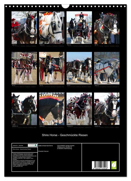 Produktbild: Shire Horse - Geschm&uuml;ckte Riesen (Wandkalender 2026 DIN A3 hoch), CALVENDO Monatskalender