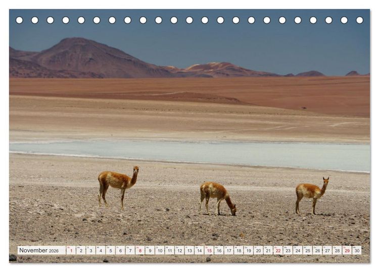 Produktbild: Bolivien - Unterwegs im Hochland (Tischkalender 2026 DIN A5 quer), CALVENDO Monatskalender