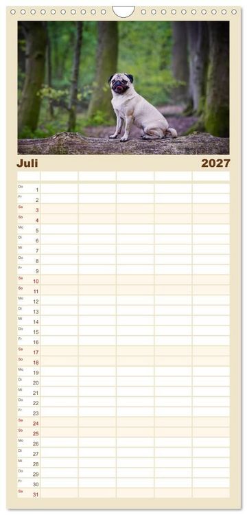 Produktbild: Familienplaner 2027 - Mops mit 5 Spalten (Wandkalender, 21 x 45 cm) CALVENDO