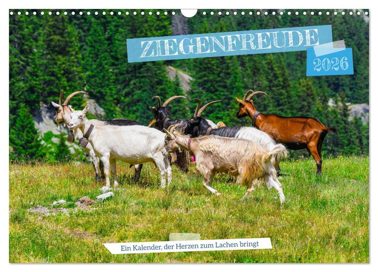 Produktbild: Ziegenfreude (Wandkalender 2026 DIN A3 quer), CALVENDO Monatskalender