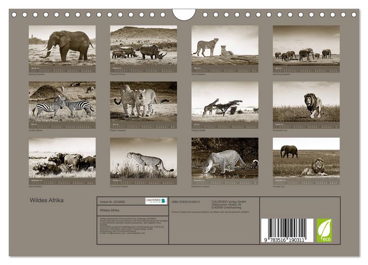 Produktbild: Wildes Afrika (Wandkalender 2026 DIN A4 quer), CALVENDO Monatskalender