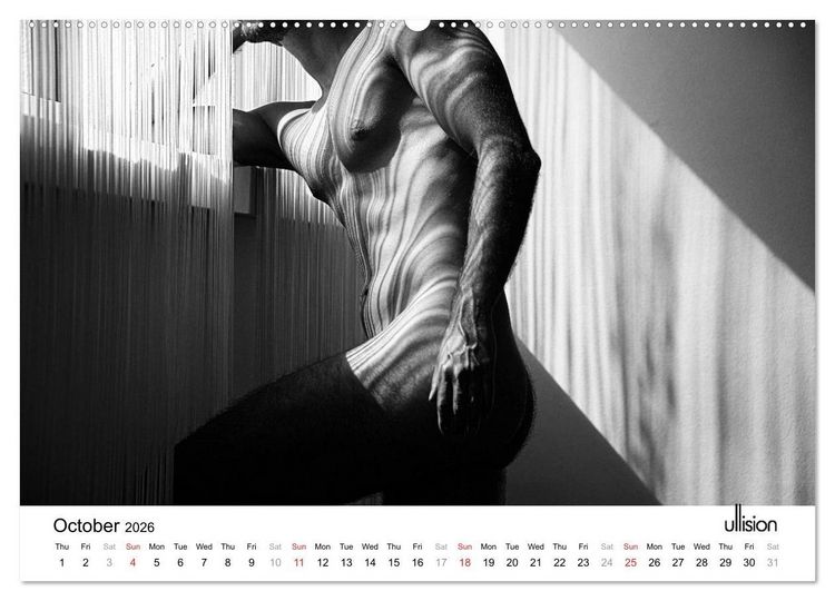 Produktbild: Male Nude Art (High Quality Premium Wall Calendar 2026 DIN A2 landscape),CALVENDO 12 Month Wall Calendar