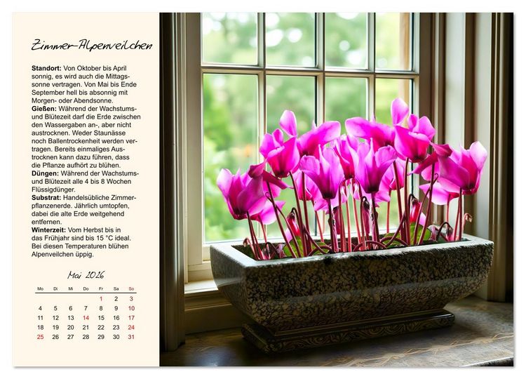 Produktbild: Bl&uuml;tenpracht am Fenster (Wandkalender 2026 DIN A3 quer), CALVENDO Monatskalender