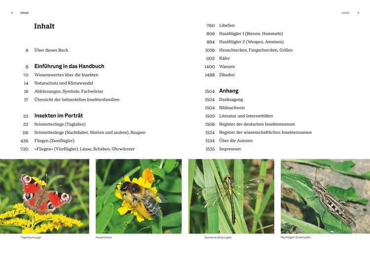 Produktbild: Das gro&szlig;e BLV Handbuch Insekten