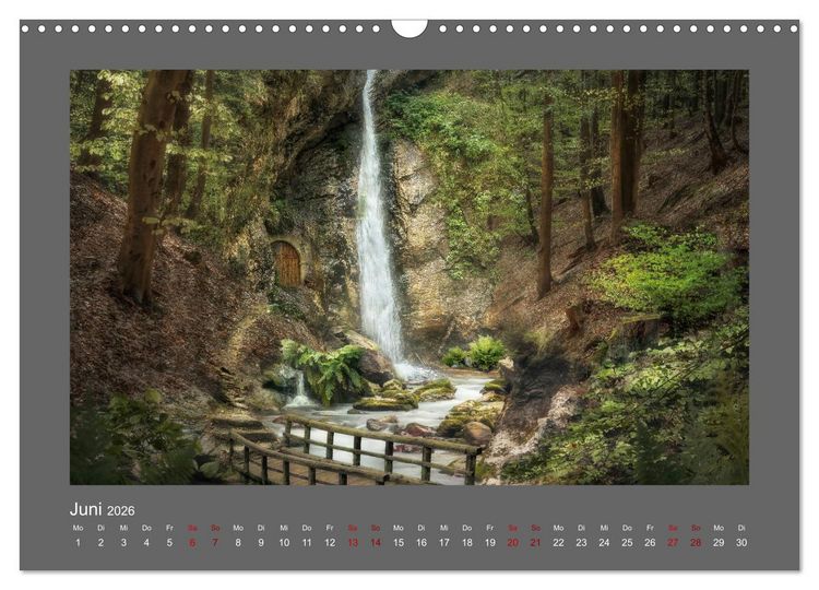 Produktbild: Waldgeheimnisse (Wandkalender 2026 DIN A3 quer), CALVENDO Monatskalender