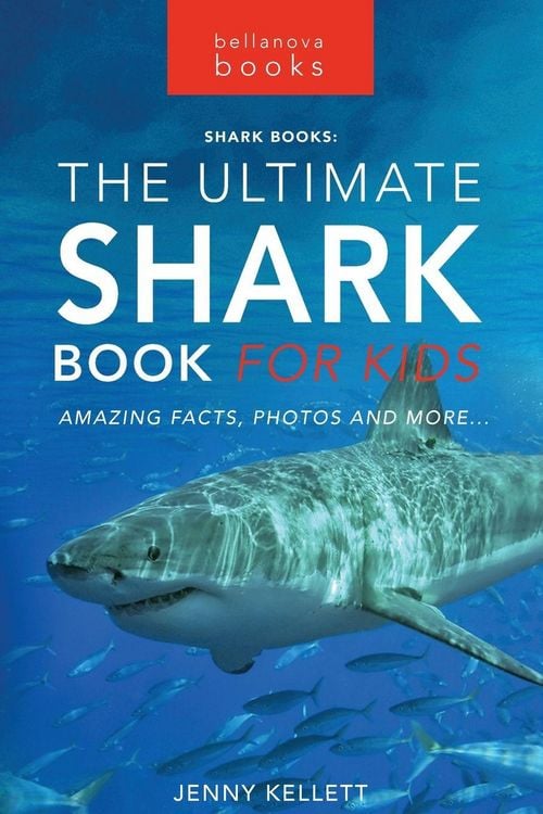 Produktbild: Sharks The Ultimate Shark Book for Kids