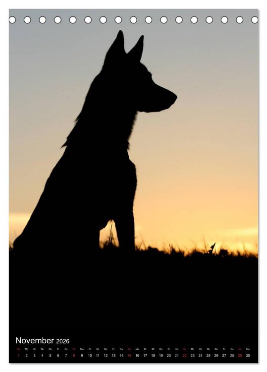 Produktbild: Deutscher Sch&auml;ferhund (Tischkalender 2026 DIN A5 hoch), CALVENDO Monatskalender