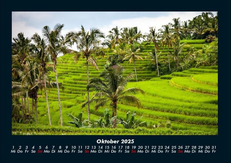 Produktbild: Palmentraum 2025 Fotokalender DIN A4