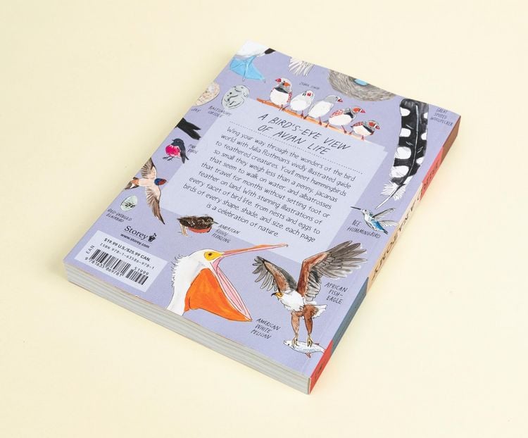 Produktbild: Bird Anatomy