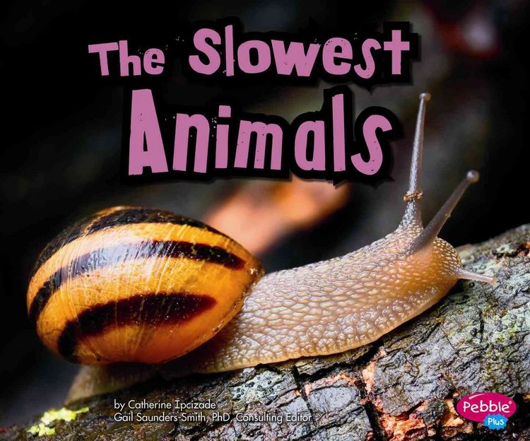 Produktbild: Slowest Animals