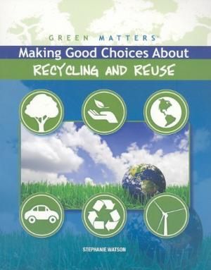 Produktbild: Making Good Choices about Recycling and Reuse