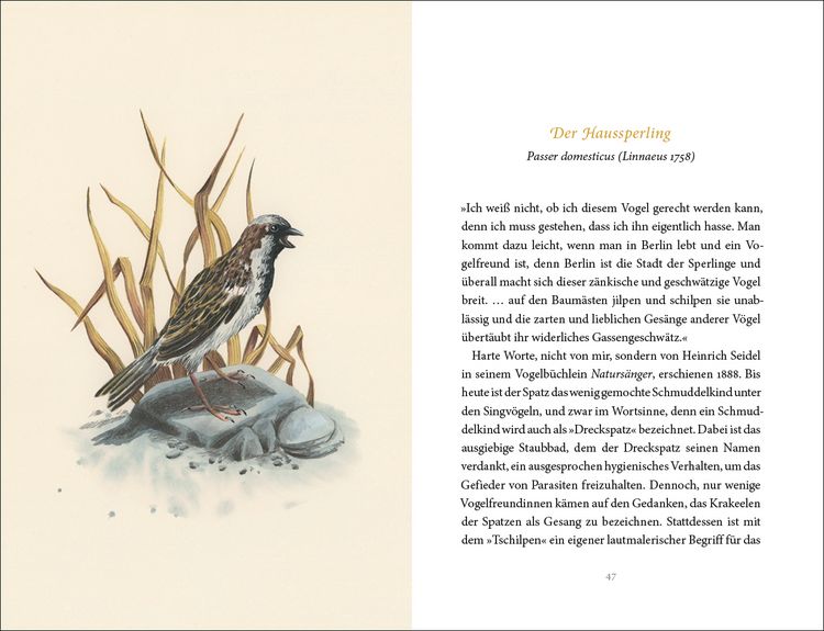 Produktbild: Vom Gl&uuml;ck des Vogelgesangs