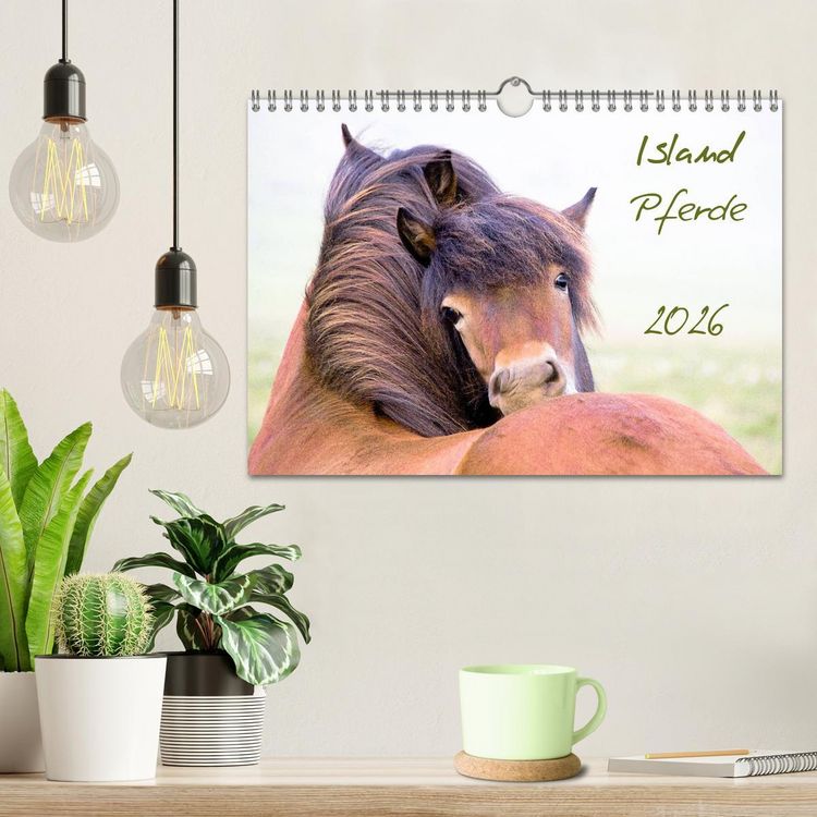 Produktbild: Islandpferde (Wandkalender 2026 DIN A4 quer), CALVENDO Monatskalender