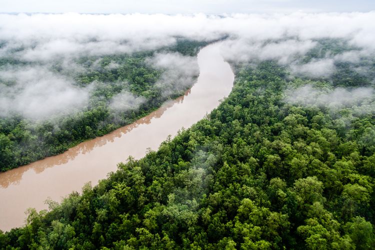 Produktbild: Das Wasser der Erde