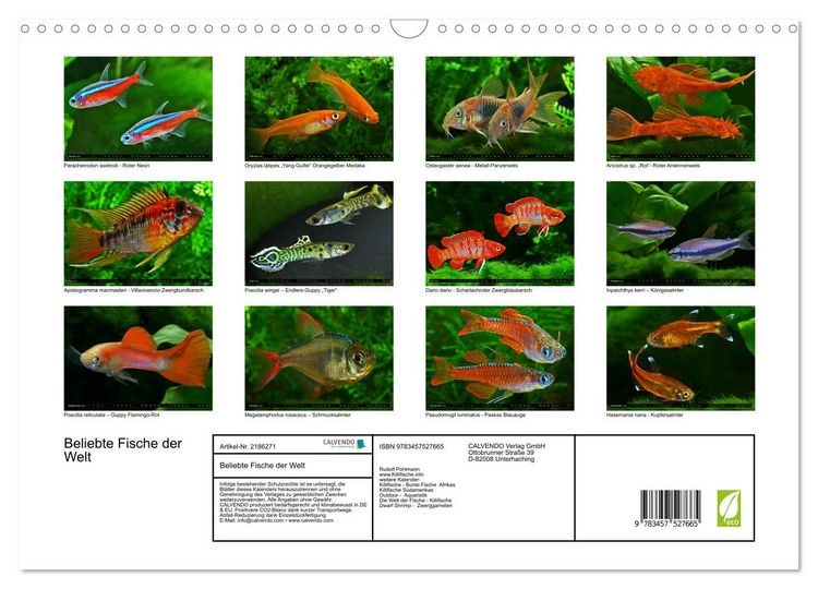 Produktbild: Beliebte Fische der Welt (Wandkalender 2026 DIN A3 quer), CALVENDO Monatskalender
